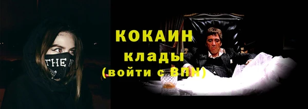 соль ск Елабуга